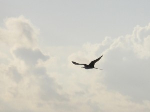 Cancun Aug 2012 201