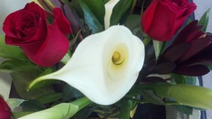 Lilies and Roses Feb 2013