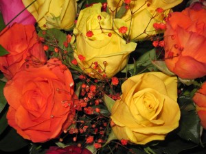 March 2011 Misc and anniv flwrs 043