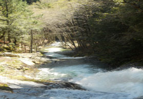 Rushing Water through the woods by LEP edited 2012