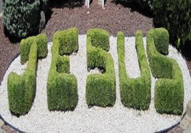 Website - Jesus Shrubs - July 2010 Adobe edited