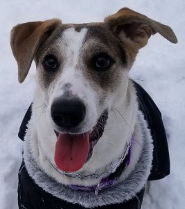 Callie - Graduation Photo - April 2019